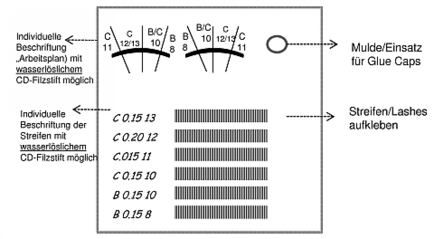 Lash Plate graphic